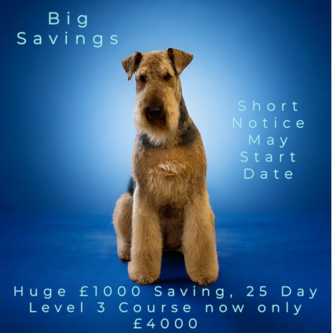 Dog grooming courses 