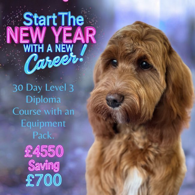 Dog grooming courses