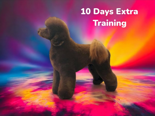 10 Days Extra Training