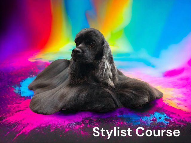 Professional City & Guilds Dog Grooming Course Level 3 Diploma