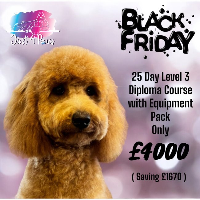 Dog grooming course 