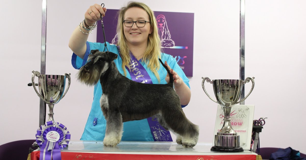 BEST IN SHOW AT THE GROOMING SHOW | Just4Paws