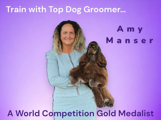 Just4Paws Advanced Dog Groomer Development Course