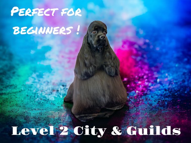 Level 2 City & Guilds Course